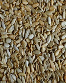 Woodstock Tamari Sunflower Seed (1x15lb)