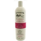 Stony Brook Unscented Shampoo (1×16 Oz)