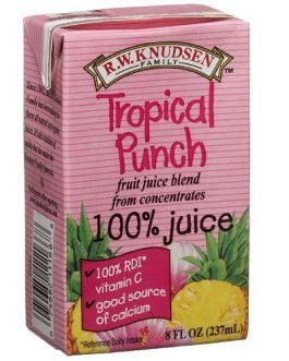 Knudsen Fruit Punch Asept 8 Pak (5x8x4.23Oz)