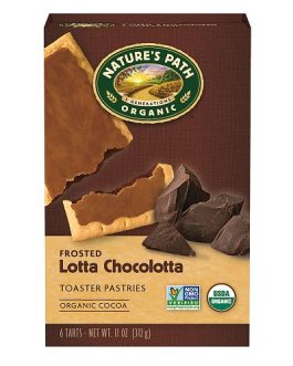 Nature’s Path Frosted Chocolate Toaster Pastry (12×11 Oz)