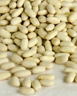 Beans Cannellini Beans (1x25LB )