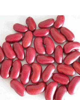 Beans Dark Red Kidney Bean (1x25LB )