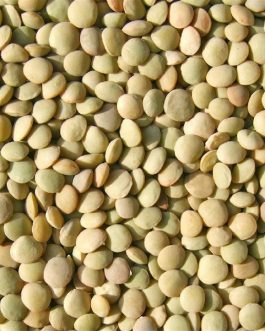 Beans Lentils (1x25LB )