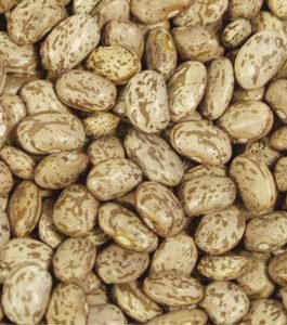 Beans Pinto Beans (1x25LB )