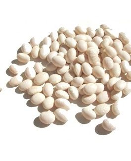 Beans Sml Whte (Navy) Bean (1x25LB )