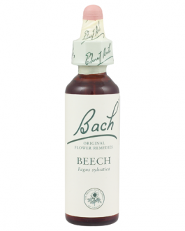 Bach Beech (1×20 ML)