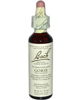 Bach Gorse (1×20 ML)