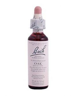 Bach Oak (1×20 ML)