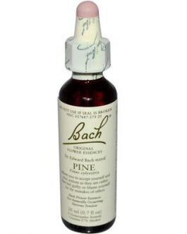 Bach Pine (1×20 ML)