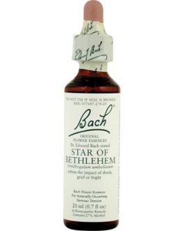 Bach Star of Bethlehem (1×20 ML)