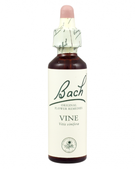 Bach Vine (1×20 ML)