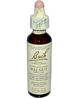 Bach Walnut (1×20 ML)