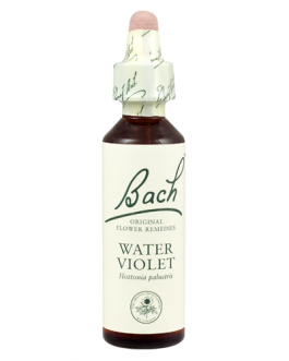 Bach Water Violet (1×20 ML)