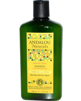 Andalou Naturals Healthy Shine Sunflower & Citrus Shampoo (1×11.5 Oz)