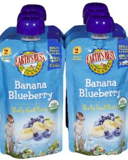 Earth’s Best Baby Foods Puree Ban BluBerry (12x4OZ )