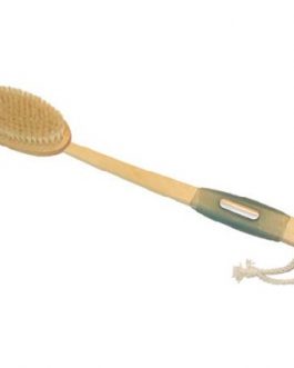 Earth Therapeutics Far Reach Bak Brush (1x1Each)