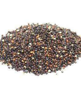 Grains Black Quinoa (1x25LB )