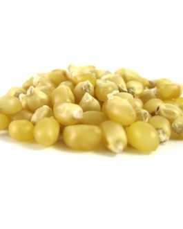 Grains White Popcorn (1x25LB )