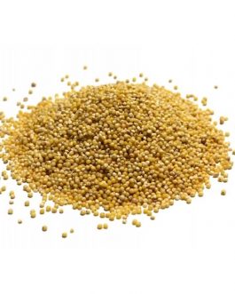 Grains Hulled Millet (1x25LB )