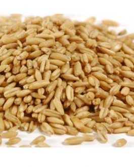 Grains Whole Oat Groats (1x25LB )