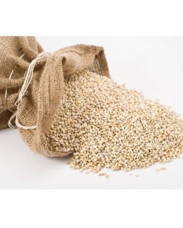 Grains Pearled Barley (1x25LB )