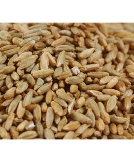 Grains Rye Berries (1x25LB )