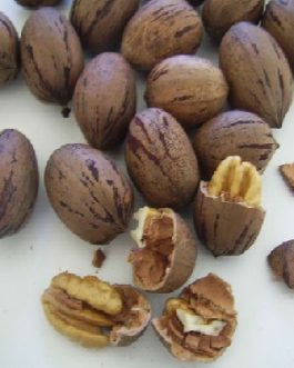 Nuts Shelled Pecans Usa (1x5LB )