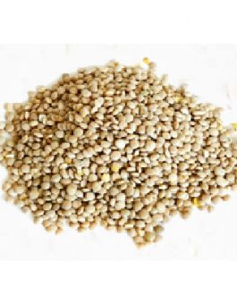 PNW Farmers Yellow Lentils (1x25LB )