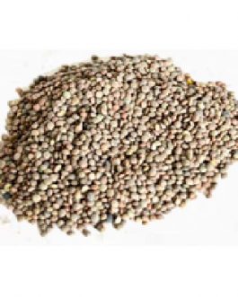 PNW Farmers Brown Lentils (1x25LB )