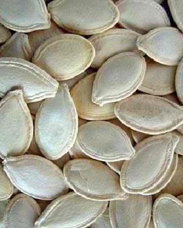 Seeds Pumpkin Seeds, Usa (1×27.5LB )