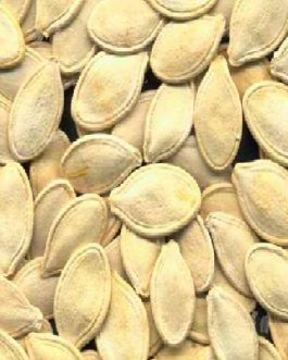 Seeds Pumpkin Seed,Chinese (1×27.5LB )