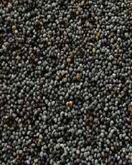 Seeds Poppy Seeds (1x5LB )