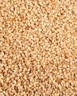 Seeds Nat Brown Sesame Seed (1x25LB )