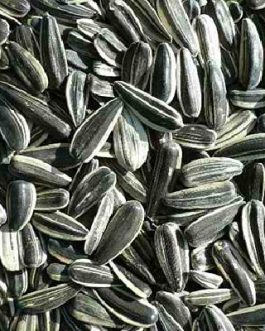 Seeds Sunflower Seeds R/S (1x25LB )