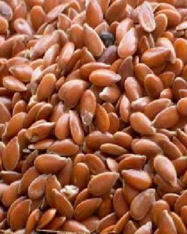 Seeds Flax Seeds (1x25LB )