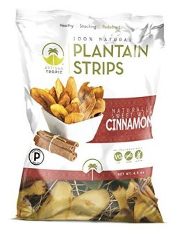 Artisan Tropic Plantain Strips with Cinnamon (12×4.5 OZ)