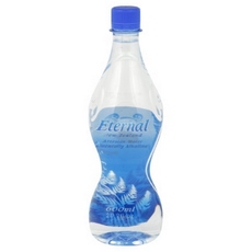 Eternal Artesian Water Water Pet (24x600ML )