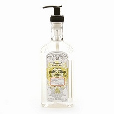 J.R. Watkins Foaming Aloe & Green Tea Hand Soap(6×9 Oz)